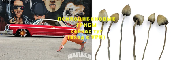 мяу мяу мука Краснослободск
