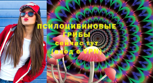 мяу мяу мука Краснослободск