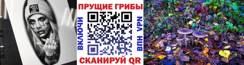 Купить где  Злынка  Галлюциногенные грибы мухоморы 